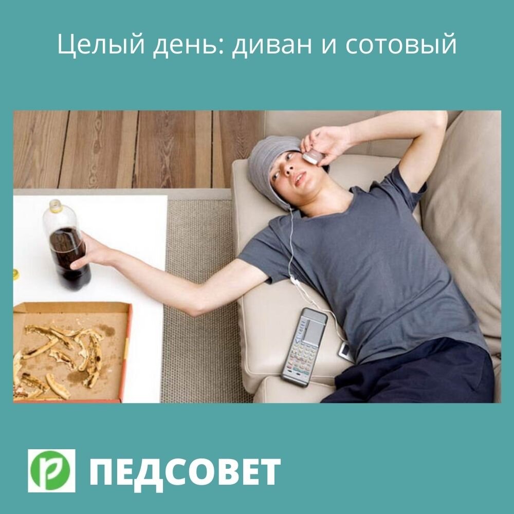Целый день: диван и сотовый