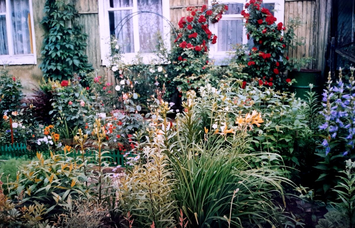 У стены Flammentanz, New Dawn./Фламентанц, Нью Доун./