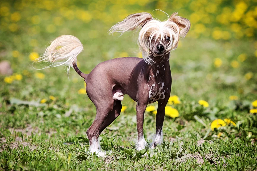 Источник: Яндекс. Картинки.