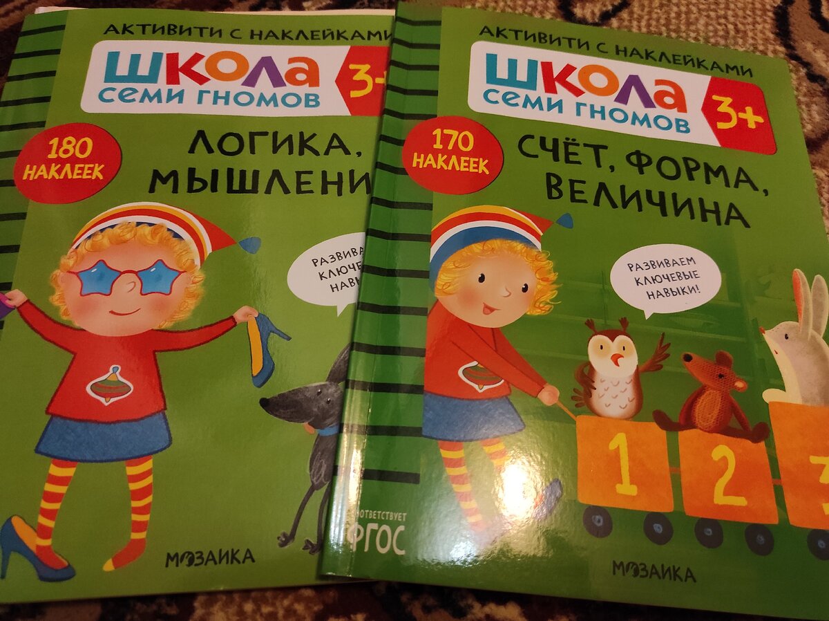 Тетради отвечают за тренировку и закрепление знаний по основным направлениям, которые ребенок должен освоить в своём возрасте. 