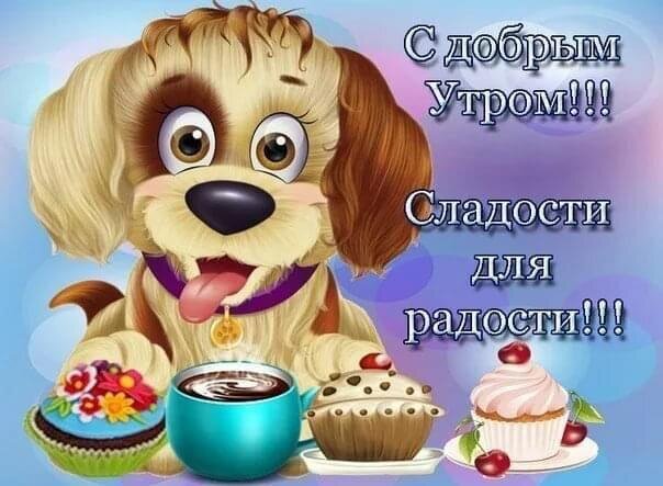 Фото взято из интернета. 