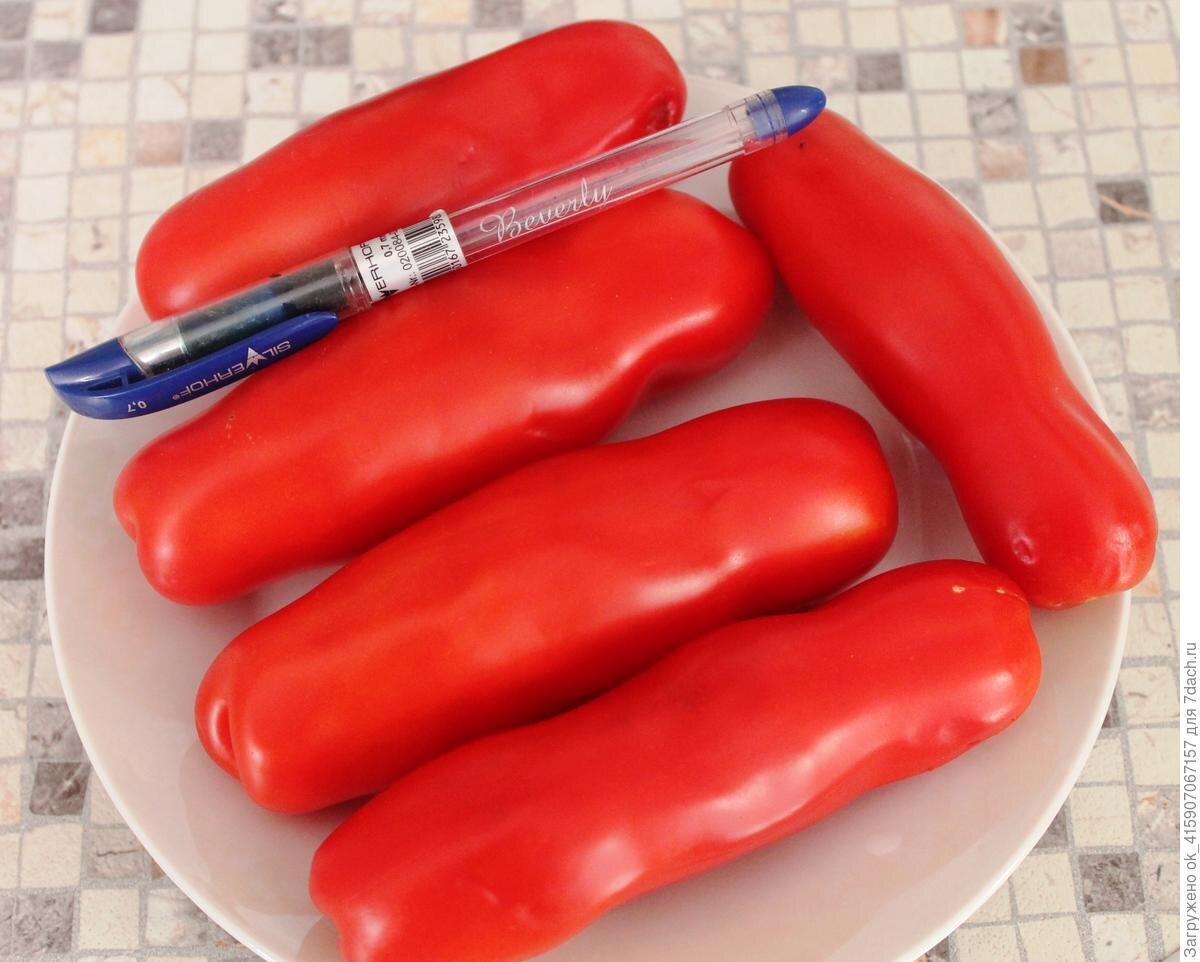 Вот такие необычные плоды томата "Казанова". Источник: yandex.ru