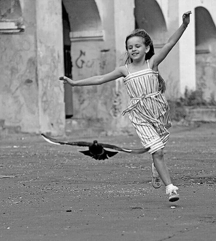 Картинка из свободного доступа из интернета