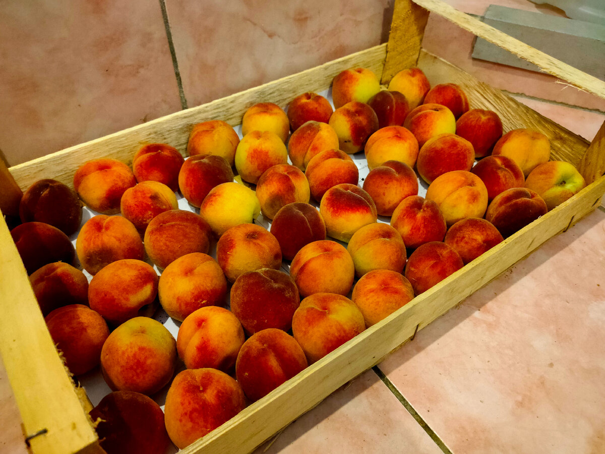 Персики по 80 рублей за килограмм. Очень сочные, ароматные и вкусные!