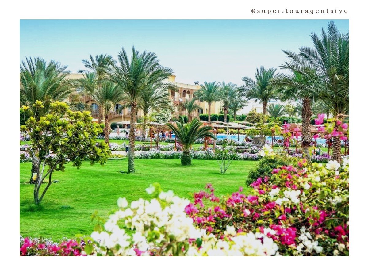 Территория отеля