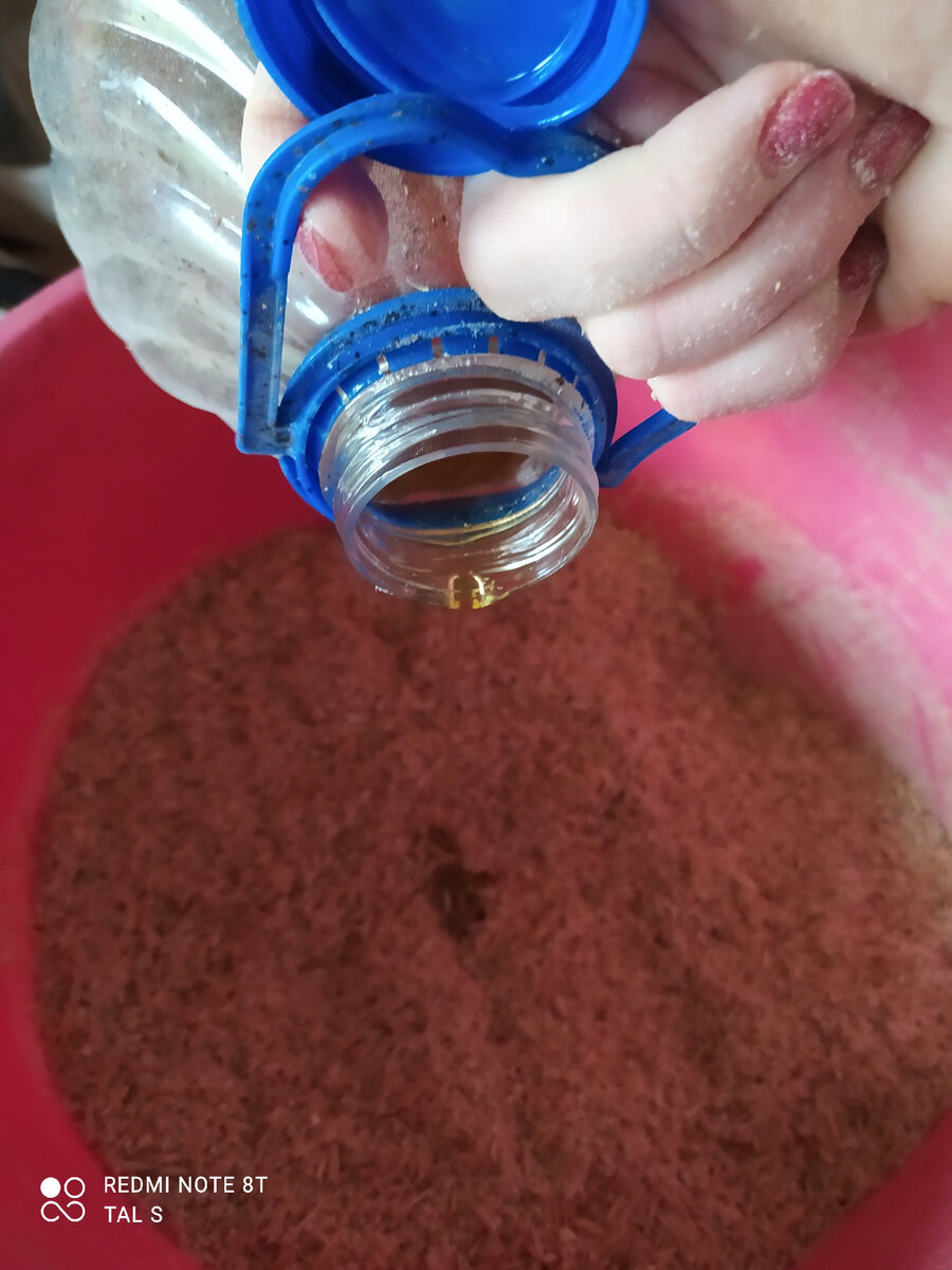 Дробленка из овса и чуточка пшеницы. Подсолнечное масло, и слегка смочить водой, чтоб не пылило. Перемешать и лошадке на обед