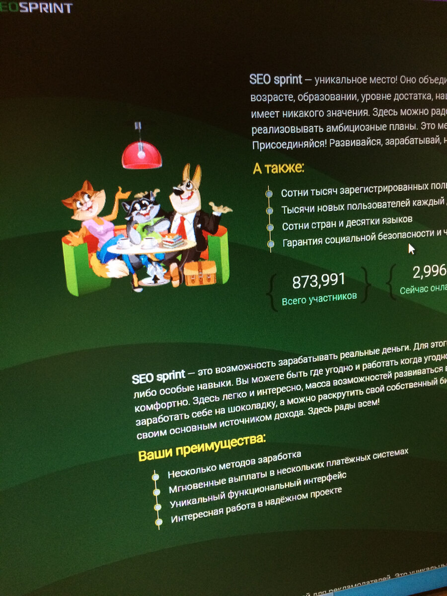 заработок в интернете для новичков