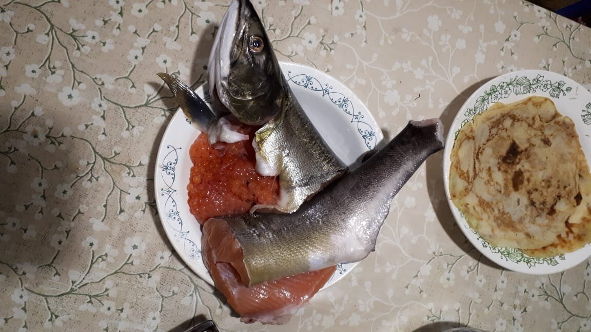 Эта рыбка случайно заплыла в Кенозеро, но была поймана мужем