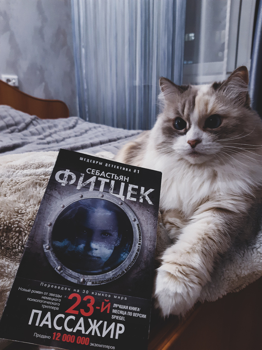 Белка рекомендует 🐱📚#фитцек #книги #детектив 