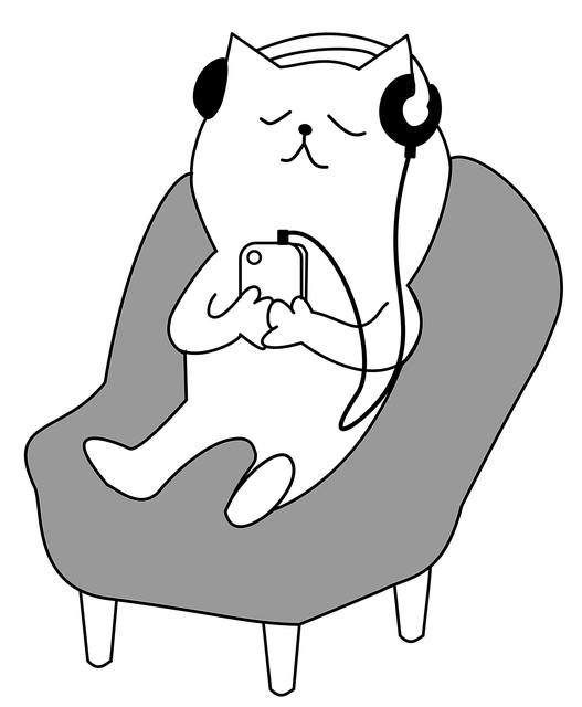 https://pixabay.com/images/id-1813100/
