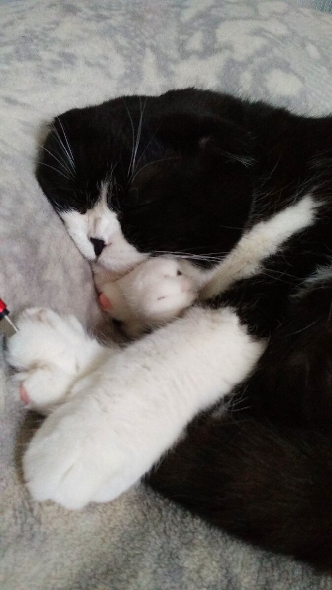 Проспал почти весь день, очень крепко, после массажа и успокоительных капель.