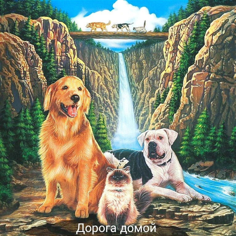 Фильм Детства!