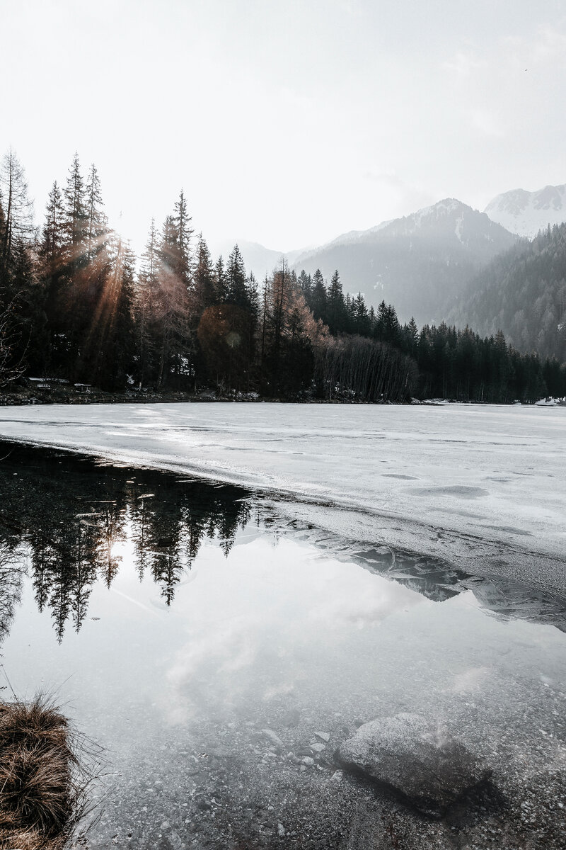 Фото автора eberhard grossgasteiger: Pexels
