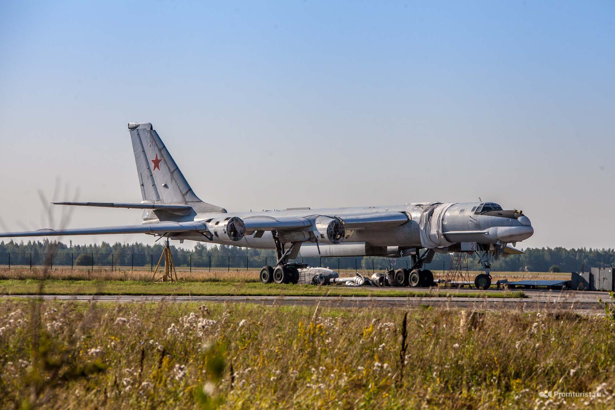 Собирал грибы, а нашёл (на полянке) Ту-95 и Ту-22М3. Ну и сравнил их ✈️??4