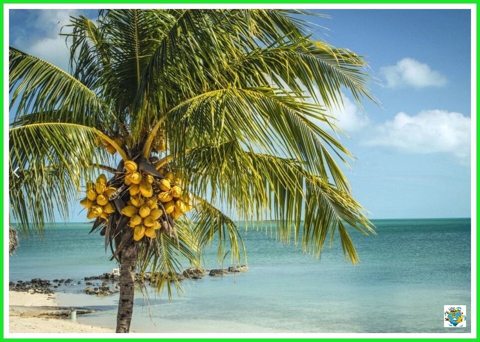 пляж Пхукета