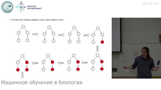 Download Video: Дианкин И.Д. - Машинное обучение в биологии. Лекции - 14. Графовые нейронные сети