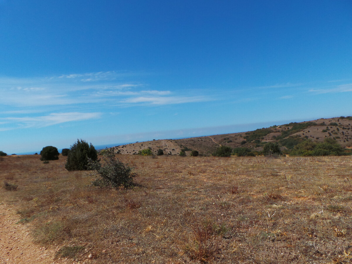 Просторы Караньского плато