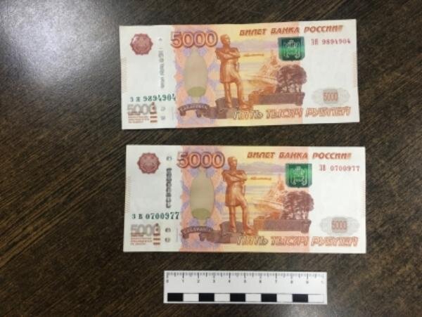 Источник фото: rostov.sledcom.ru 