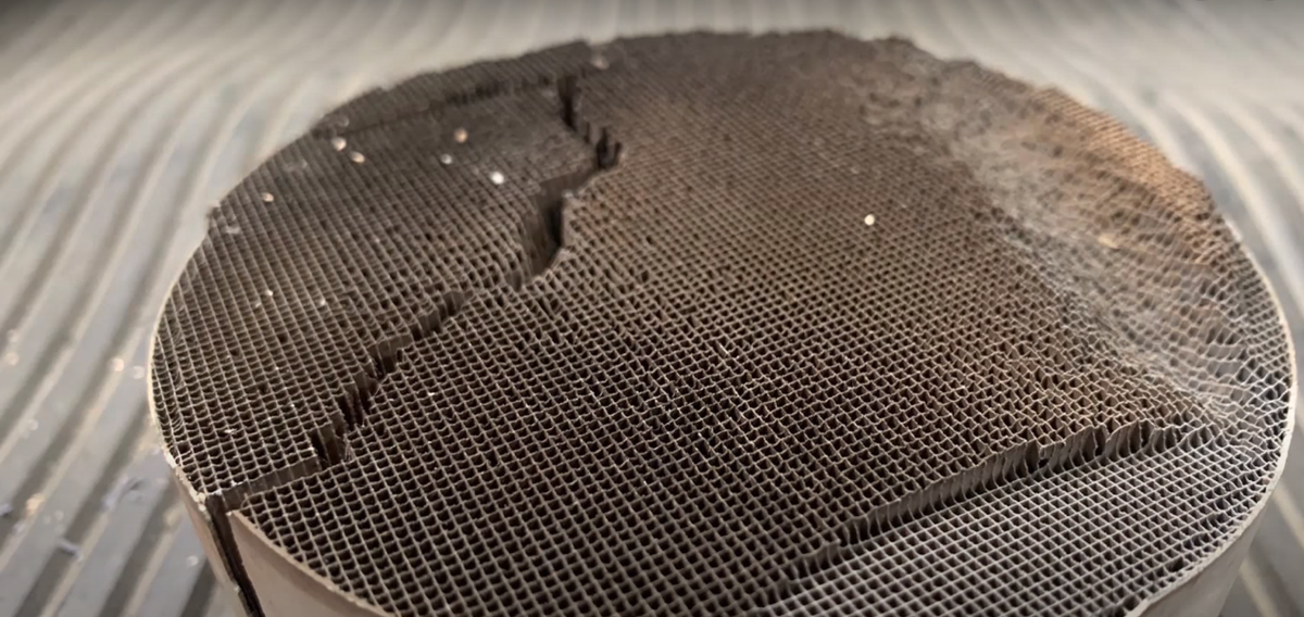 youtube: Siberian Beard