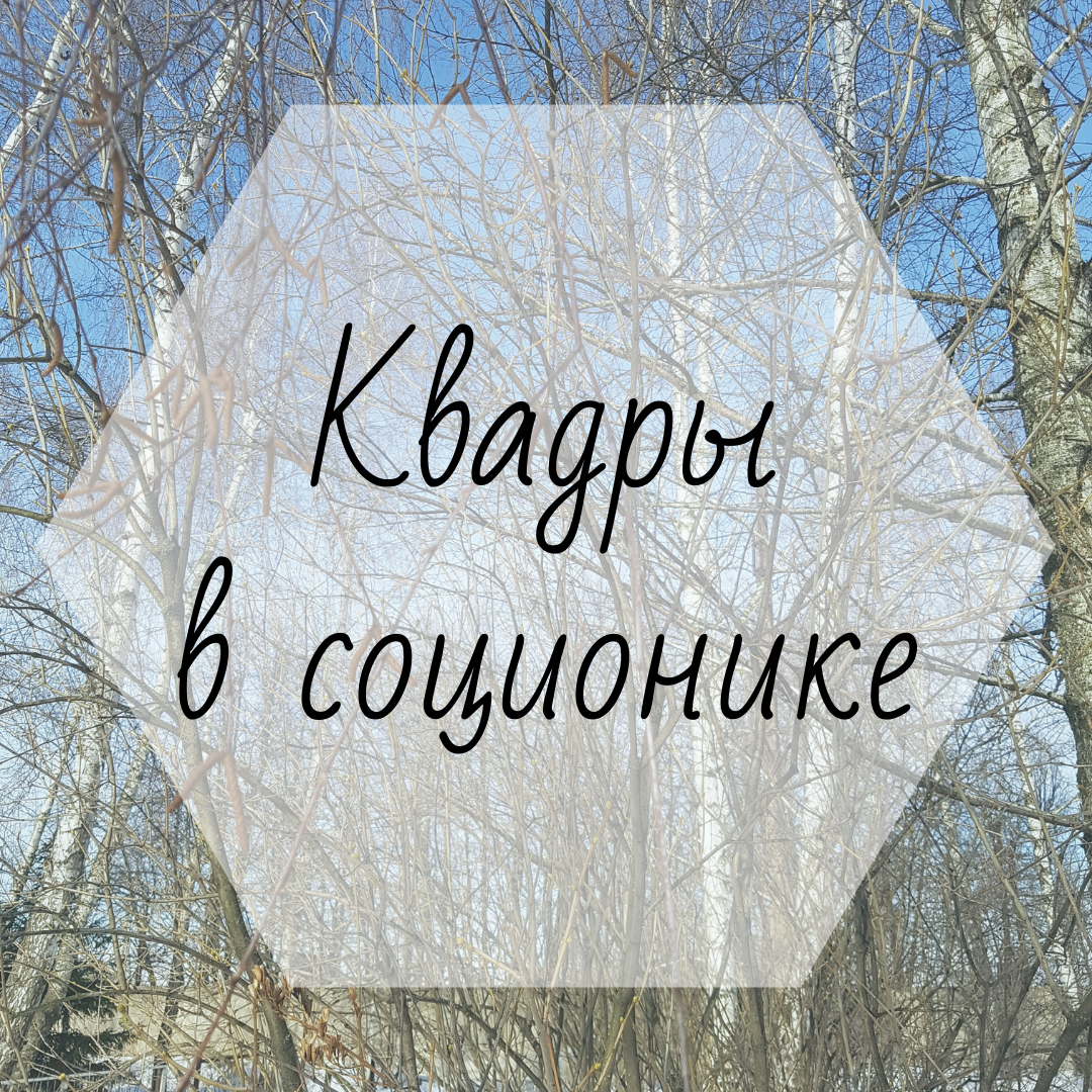 картинка автора
