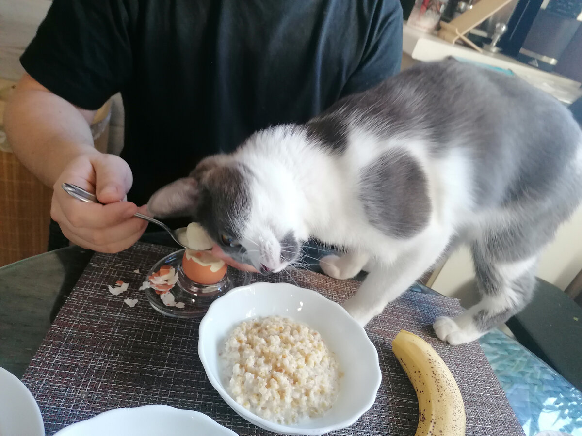 Это уже всё моё! Я пометила! Дай!