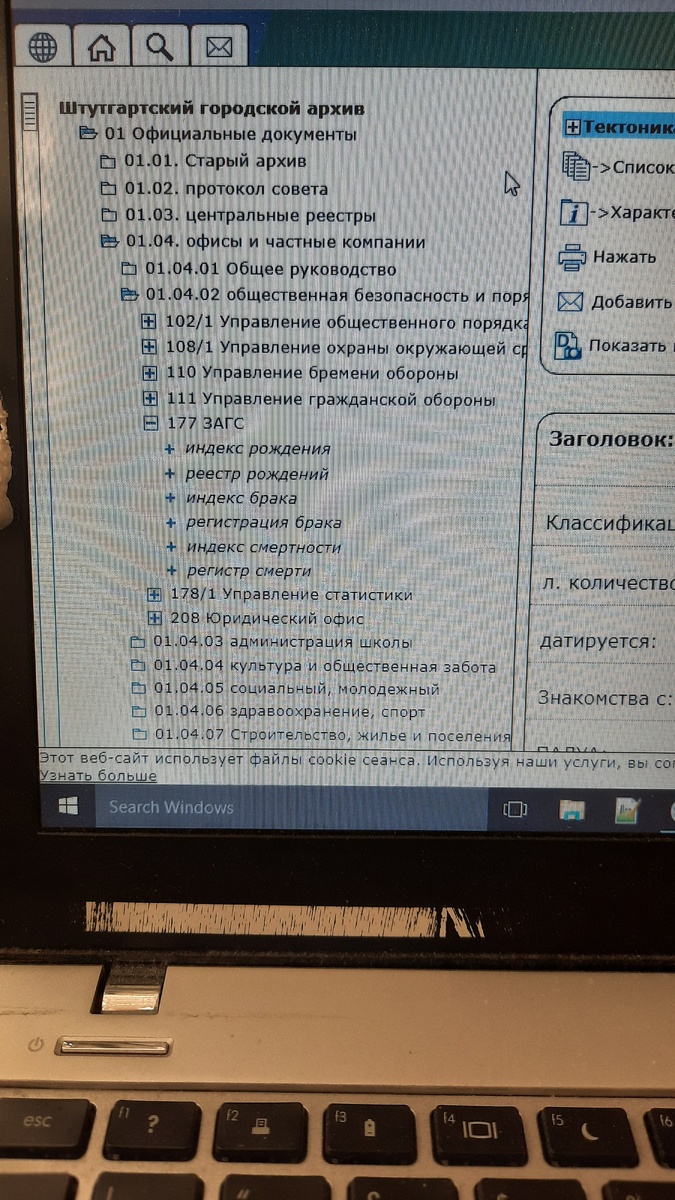 Посвящается всем у кого ещё есть человеческая составляющая, а не брызгание ядом изо рта.