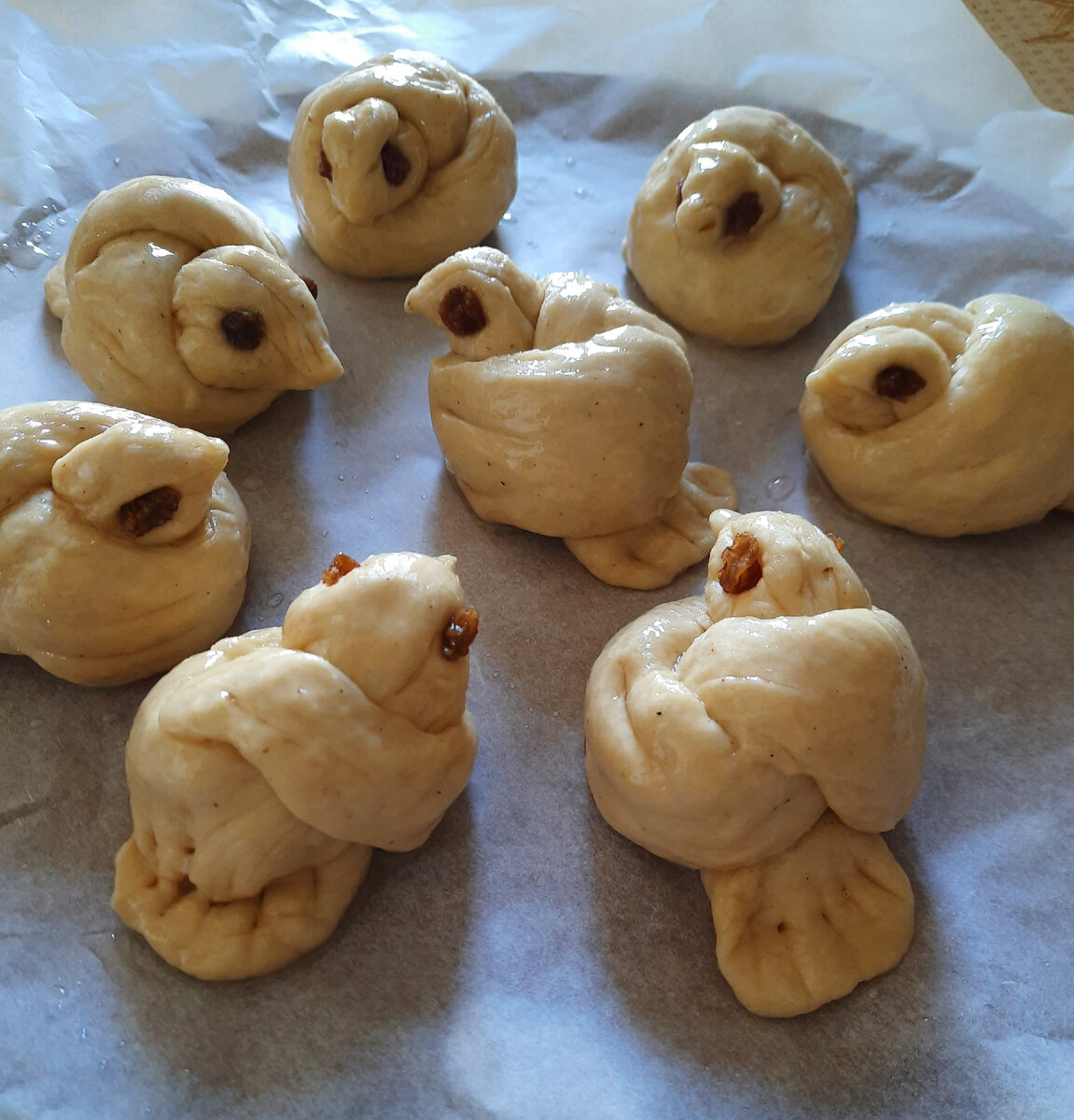 Мои мутанты 🤣