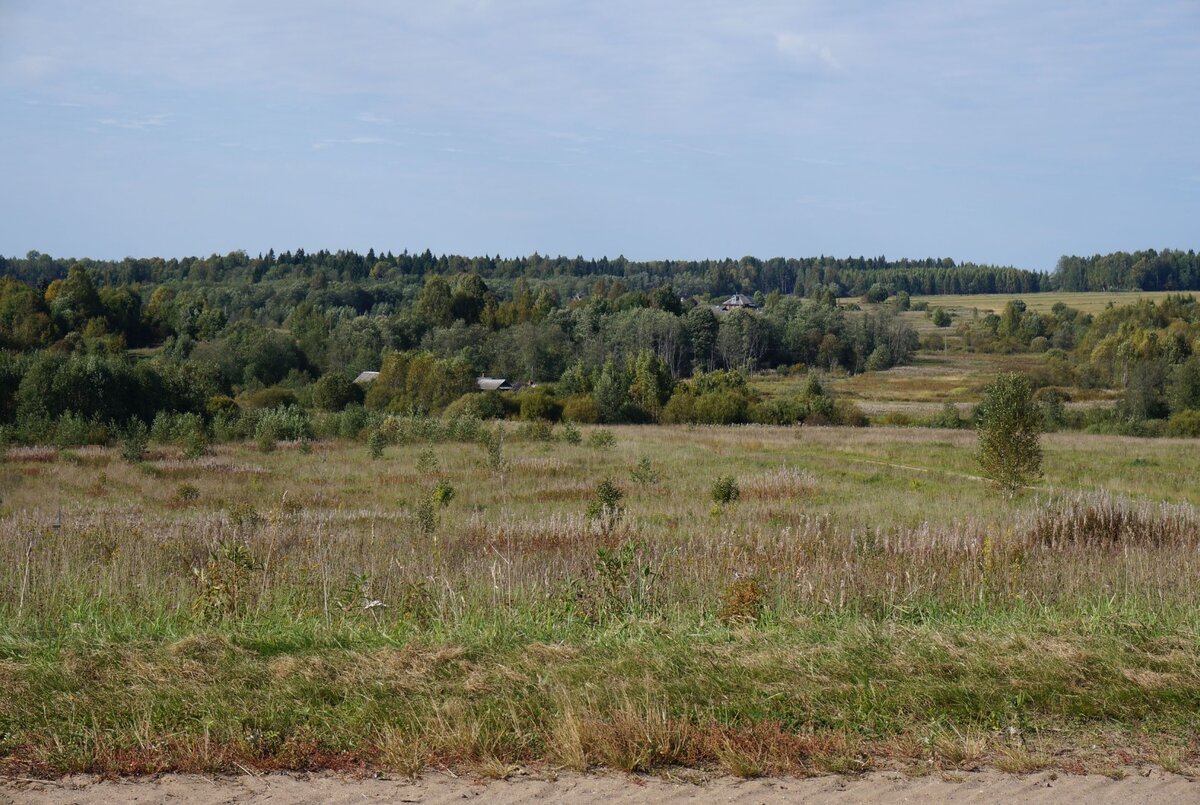 Вид окрестностей Николо-Молокши