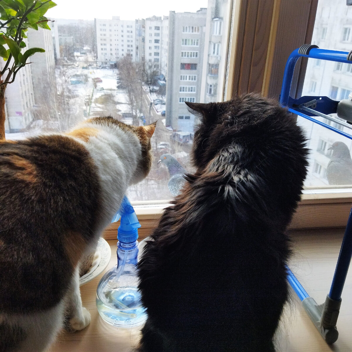 Благодарю за фото Лилию ЗАМОТАЕВУ)