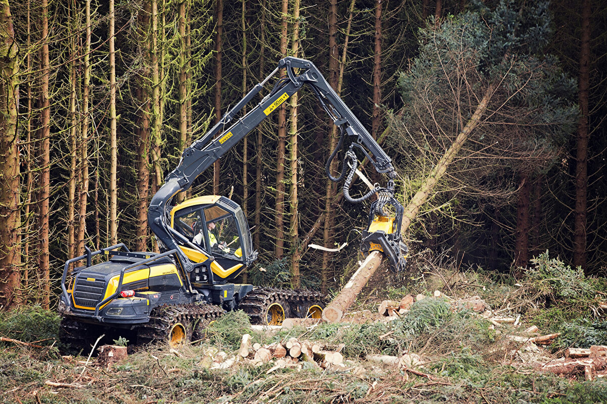 Связка машин из харвестера (заготовка) и форвардера (вывозка) обеспечивает полный комплекс лесозаготовительных работ с обеспечением максимального комфорта для работника