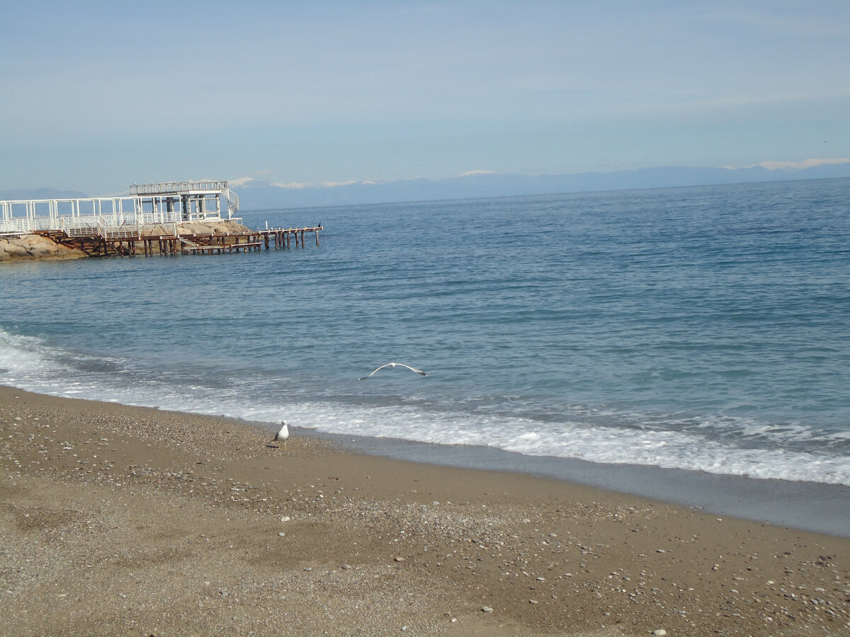 Просто море. Фото автора