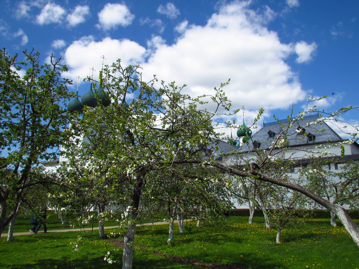 Митрополичий сад Ростовского кремля