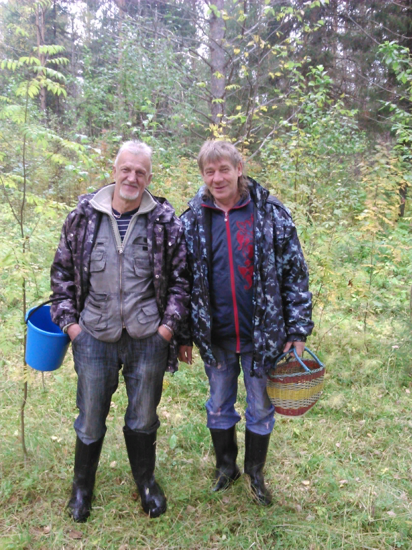 в лес за грибами