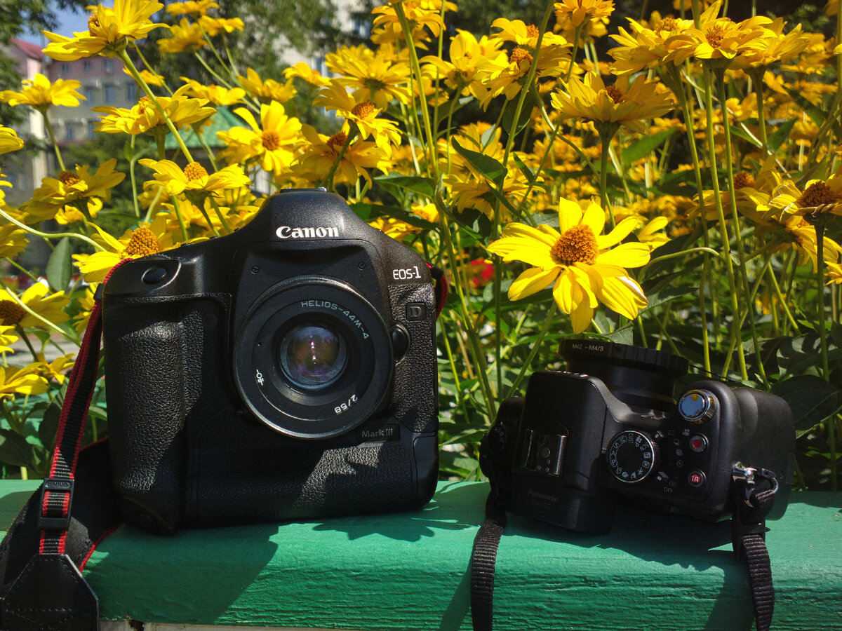 Canon EOS 1D Mark III и Panasonic Lumix DMC-G2 