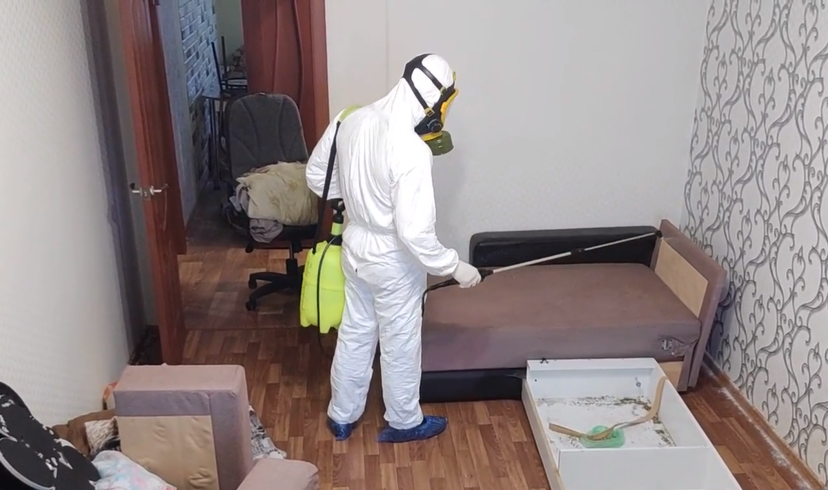 Иногда чтобы избавиться от клопов мастеру приходится разбирать мебель
