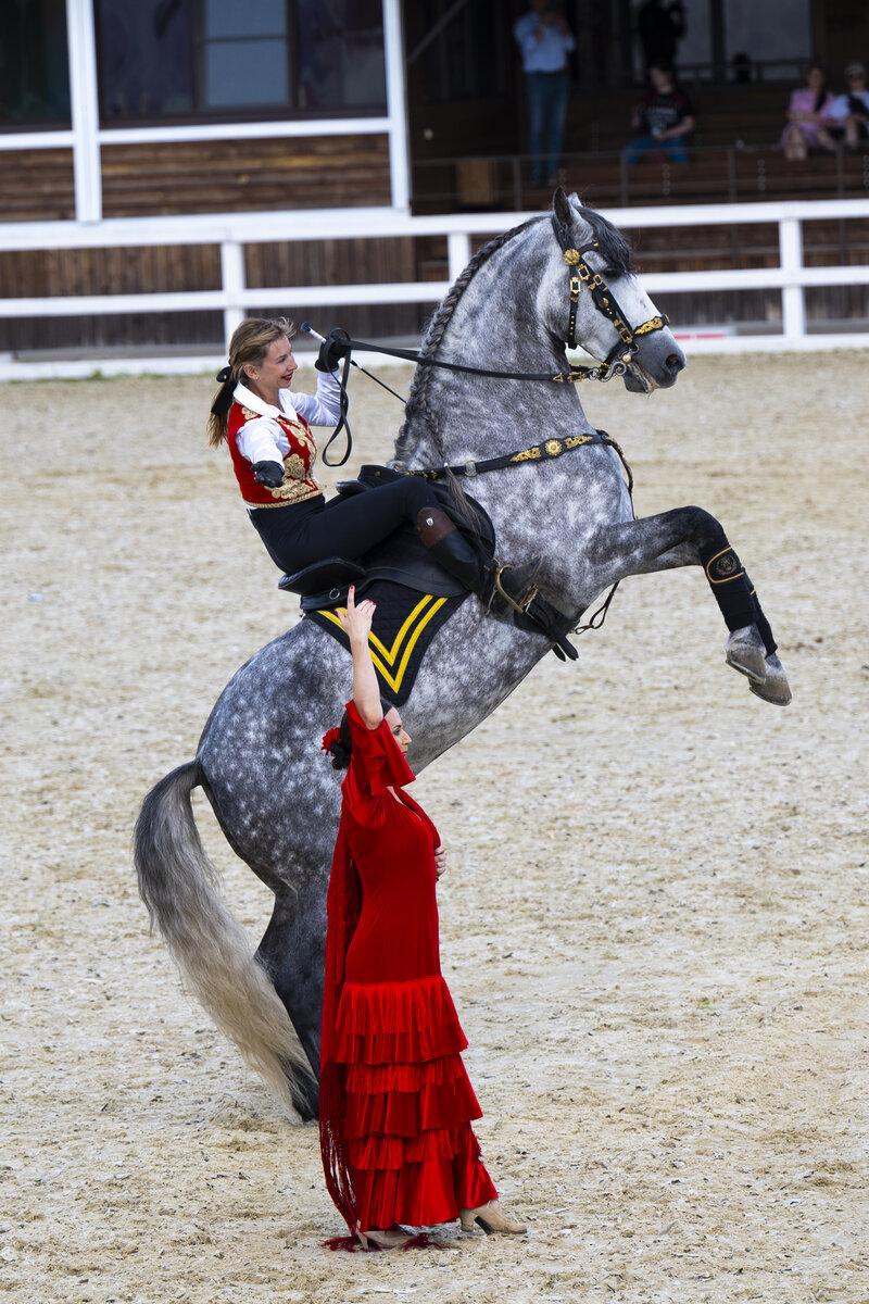 Прекрасные номера Елены Чистяковой с командой Hidalgo Show