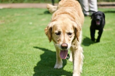 Фото из открытых источников.