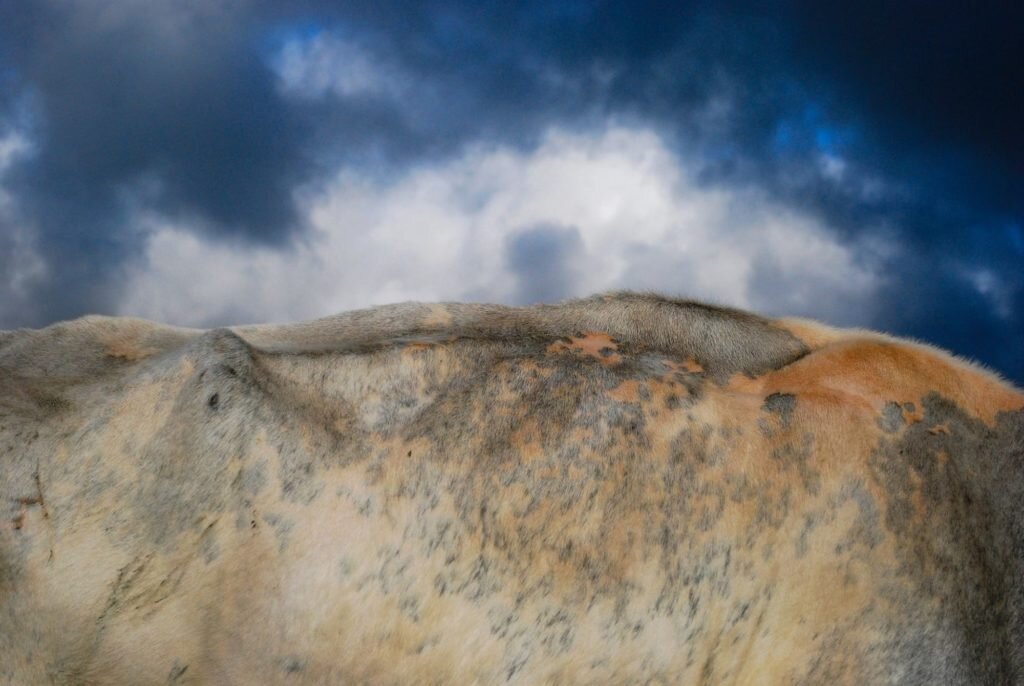    Фото: Kate Kirkwood