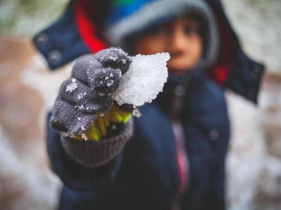     Фото: Pexels.com