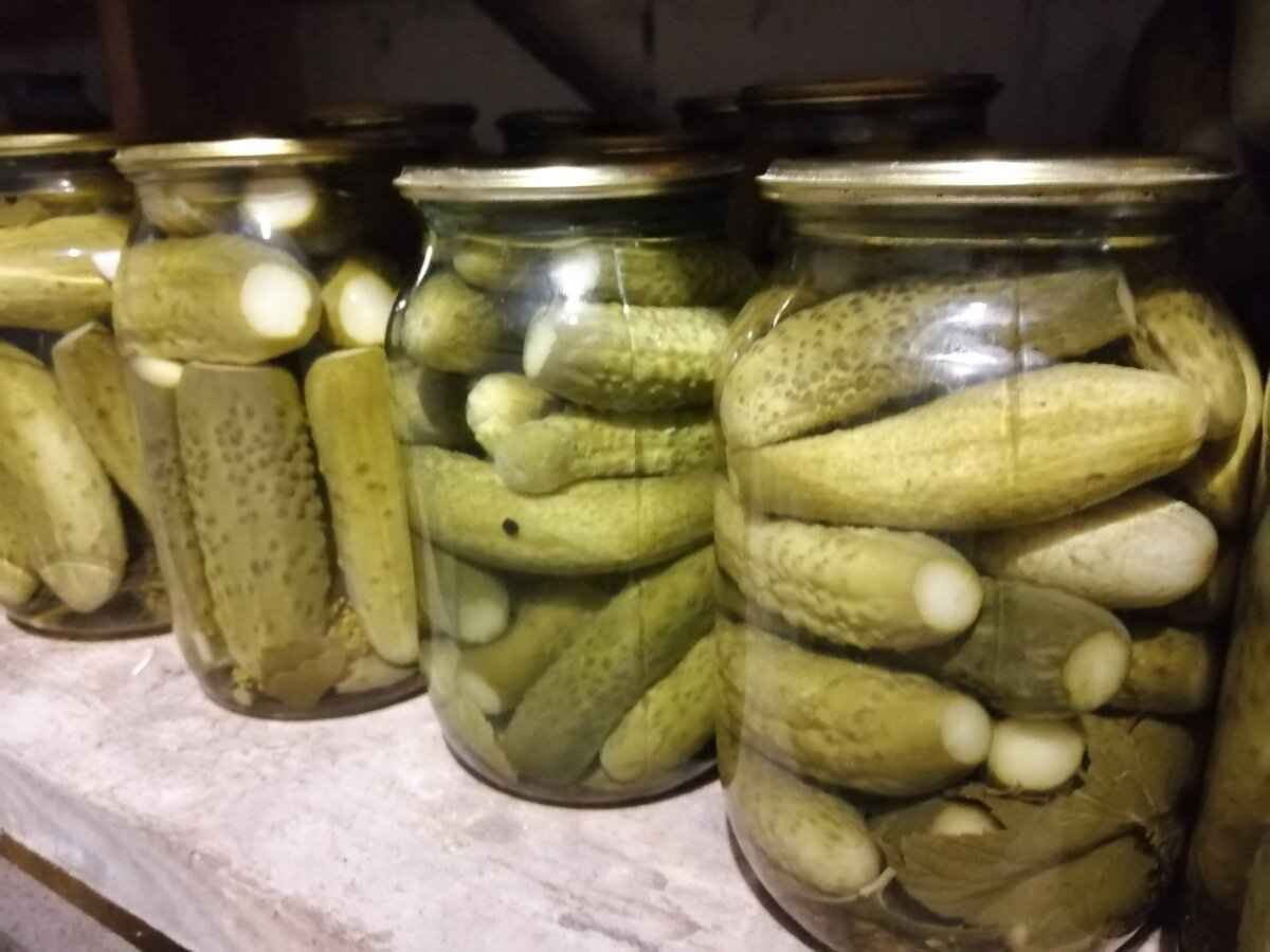 Огурчики уже в прохладном погребе