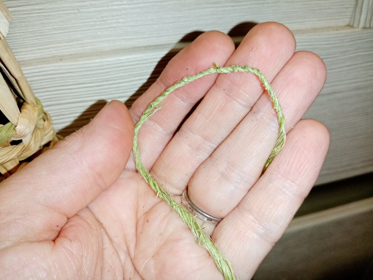 Нить из крапивы, до которой ещё много действий