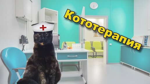 Лечение с помощью кошек: как работает фелинотерапия