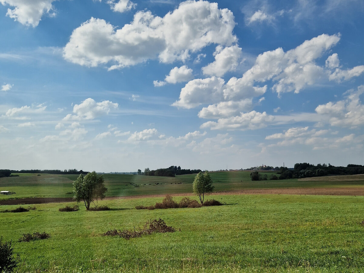 Где-то в Литве