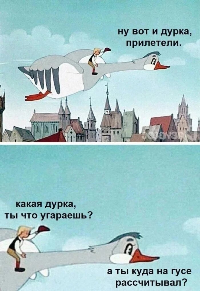 картинка из открытых источников