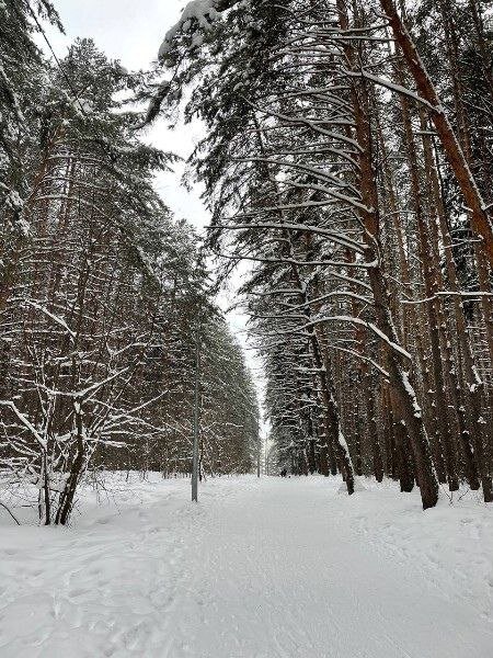 из личного архива