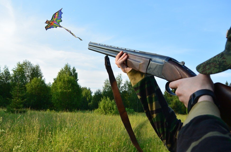 Охота на куропатку и перепела с воздушным змеем