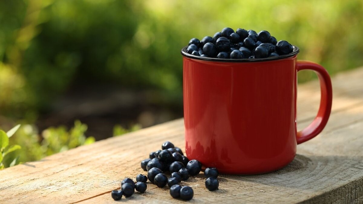   New Africa/Shutterstock.com