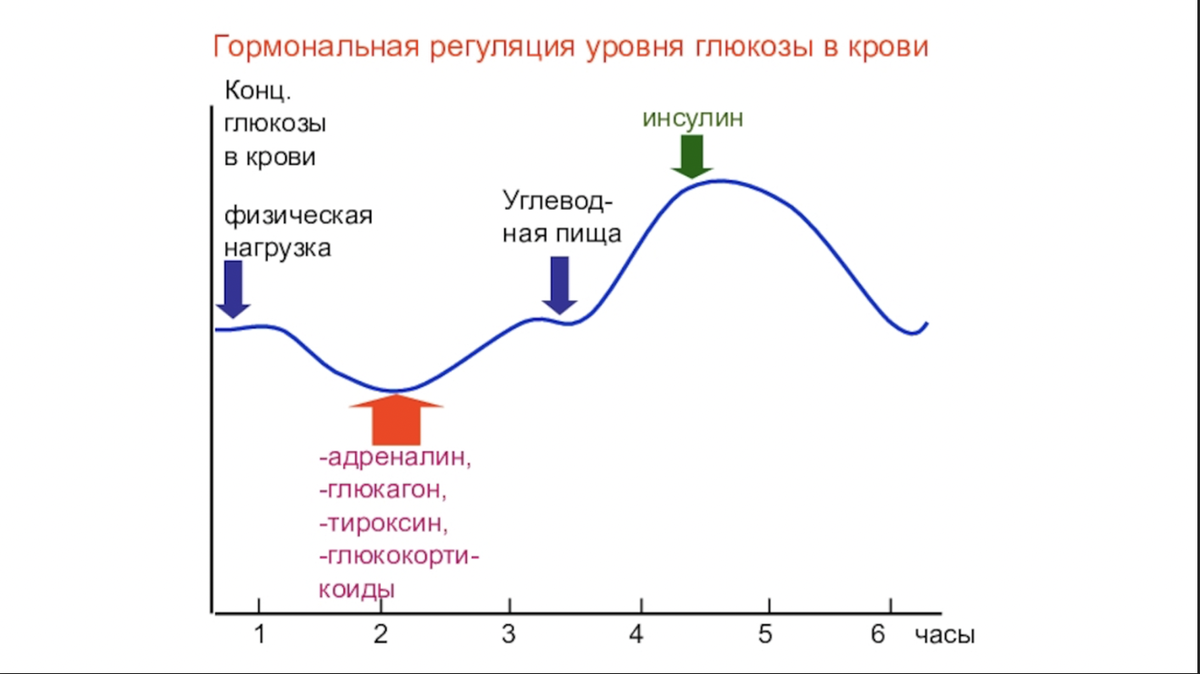 Адреналин углеводы