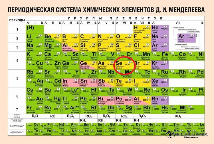      Селен в таблице Менделеева. Из открытых источников.