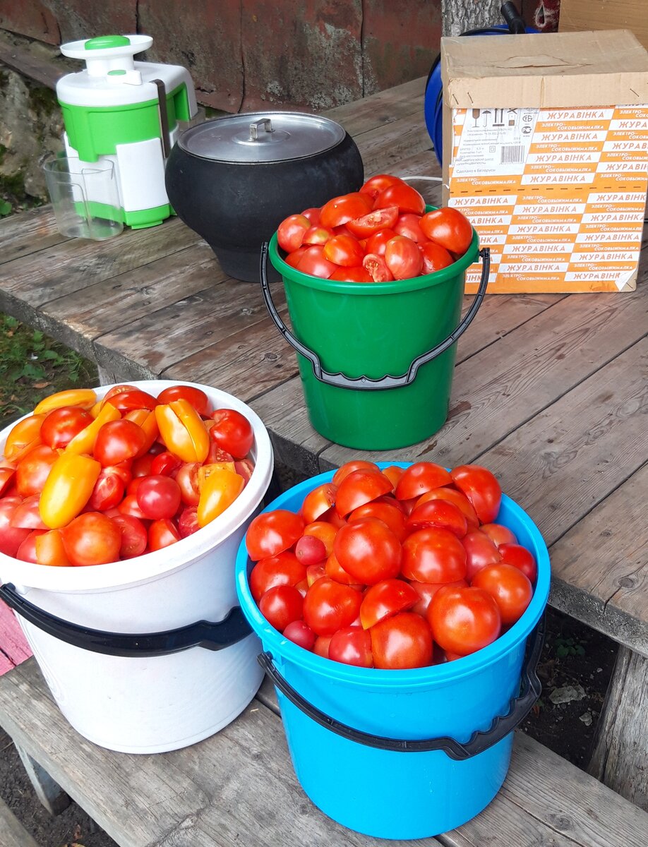 Уже подготовлены для соковыжималки